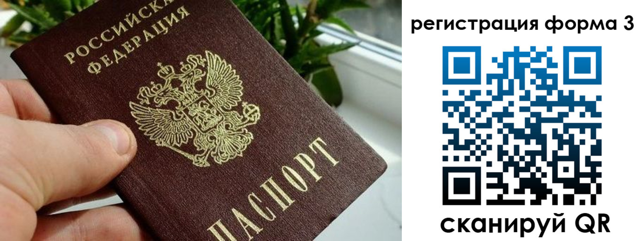 прописка штамп в Бологом